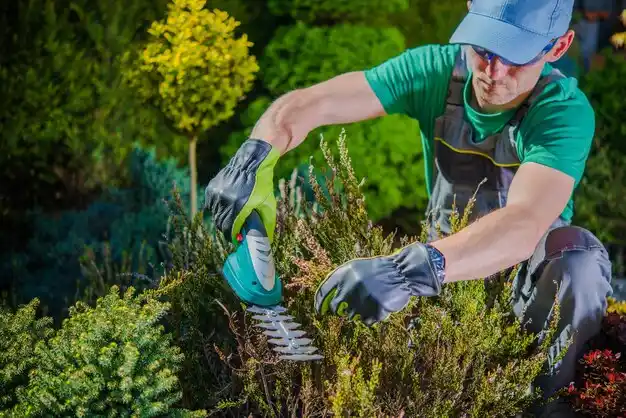 landscaping services Agawam